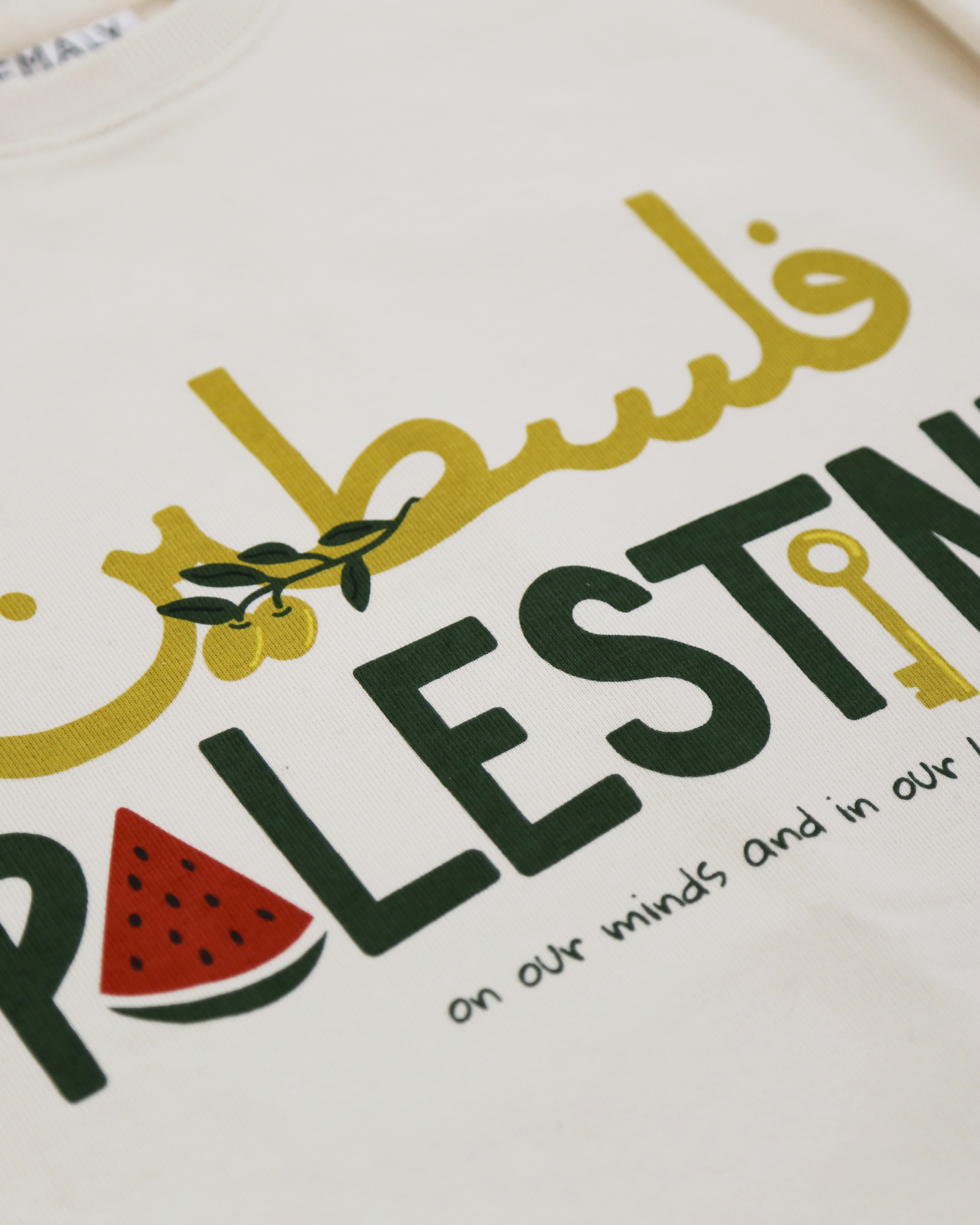 Palestine On Our Minds Sweatshirt